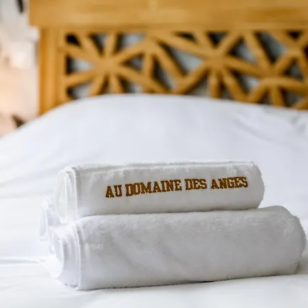 Au Domaine Des Anges Gites Avec Jacuzzi Privatif Dans La Chambre Bain-de-Bretagne Exterior photo